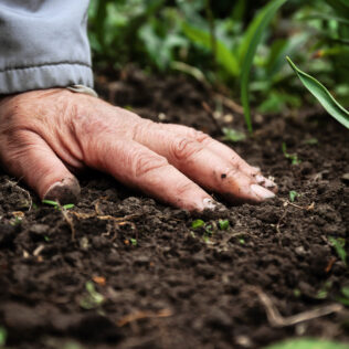 Fichier email Agriculteurs