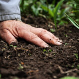 Fichier des Agriculteurs, adresses et téléphonnes