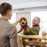 Propriétaires animaux de compagnie : chien, chat